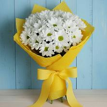 Букет цветов из:  Хризантемы в Шевляково