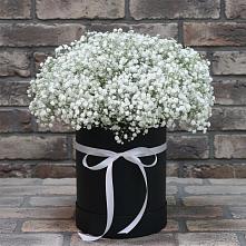 Цветочная композиция из Гипсофила в шляпной коробке #REPLACE_PRED# Шевляково