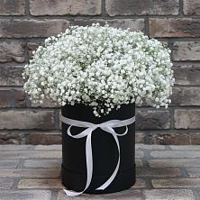 Цветочная композиция из Гипсофила в шляпной коробке в Шевляково
