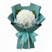 Букет цветов из:  Гортензия #REPLACE_PRED# Шевляково